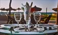 Aida Beach Hotel - El Alamein image 5